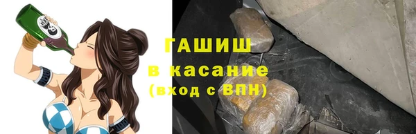 стафф Богданович