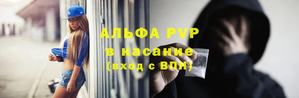 стафф Богданович