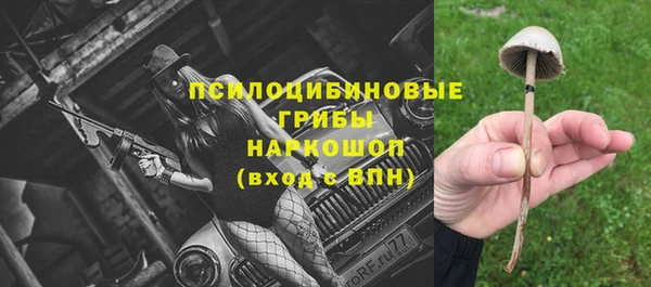 стафф Богданович