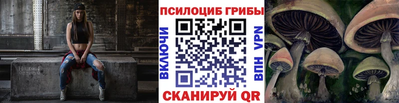 Псилоцибиновые грибы мицелий  блэк спрут рабочий сайт  Санкт-Петербург  наркотики 